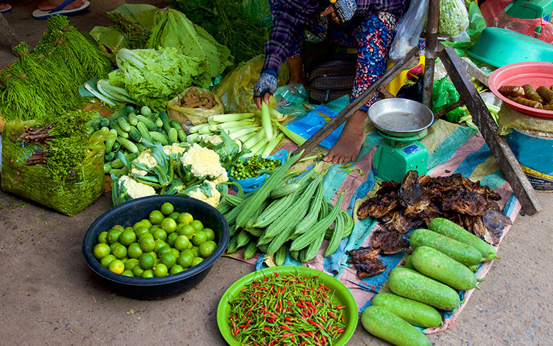 Non-Toxic Vegetable Promotion